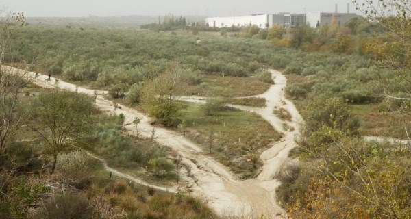 La Comunidad de Madrid recuperará 80.000 metros cuadrados de suelo público de la Cañada Real para espacios verdes