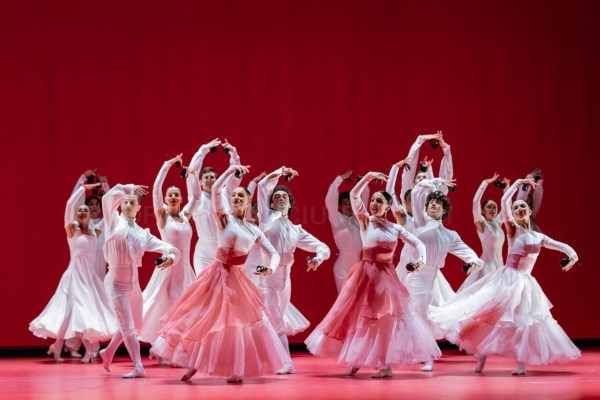 El XIX Festival Suma Flamenca llega a la agenda cultural de la Comunidad de Madrid