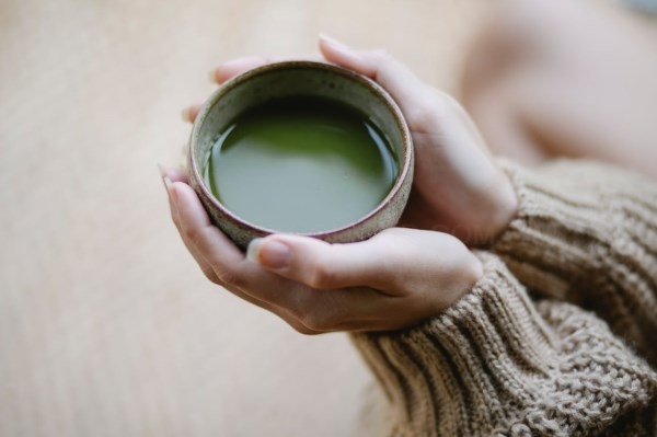 Be Matcha: el proyecto aragonés que quiere liderar el mercado europeo del té matcha orgánico