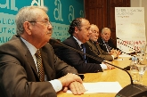“Día  del Alicantino de Adopción 2010”
