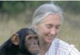 Presentación Cátedra Jane Goodall Universidad de Alicante