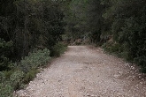 “Senderismo con la Diputación, otoño 2010”