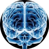 II JORNADAS DE ADACEA ALICANTE DAÑO CEREBRAL ADQUIRIDO INFANTIL