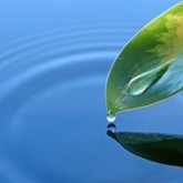 EXPOSICIÓN DE 50 FOTOS CON LAS MEJORES IMÁGENES DEL CONCURSO SOBRE EL AGUA