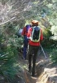 12 rutas guiadas por el patrimonio natural de la provincia