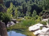 Jornadas Ríos de agua