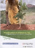 TRANSFORMANDO EL DESIERTO EN VIDA