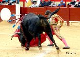 BECERRADAS - NOVILLADAS CON Y SIN PICADORES