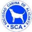 XVLII Exposicion Nacional Canina de Alicante - XXIX Exposicion Internacional Canina de Alicante