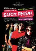 NADIE SABE NADA DE GATOS PERSAS