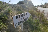 La trama de Alicante no es solo basura, según la investigación