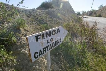 La trama de Alicante no es solo basura, según la investigación