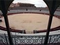XI Feria Taurina del Corpus Christi de Toledo