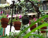 Rutas por los Patios de Toledo