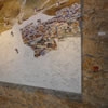 Exposición de Pintura de Mabiee