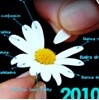 Cursos de Cultura 2010-2011