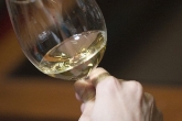 CURSO DE CATA DE VINO ECOLÓGICO