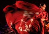 El mejor Flamenco en Circulo Creativo