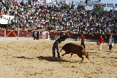 Fiestas Patronales en Esquivias
