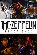 Concierto de The Zeppelin Experience