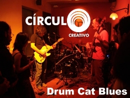 Drum Cat Blues en Concierto