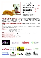 1ª Feria de adopción de animales de compañía en Toledo