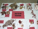 Exposición Micológica