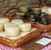 Curso de Cata de Queso