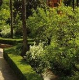 Curso de Nuevas Perspectivas del Medio Ambiente