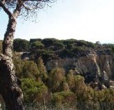 Curso nivel avanzado de Identificación de Plantas y sus aplicaciones en los Montes de Toledo