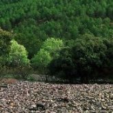 Visitas de fin de semana Albergue "Dehesa Boyal"
