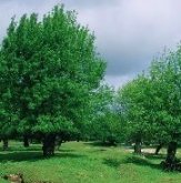 Paseos Naturales por la Provincia de Toledo: 'Humedales manchegos'