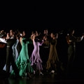 "Rango y Suite Flamenca"