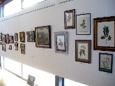 Exposición de pintura de Emilio Carrasco