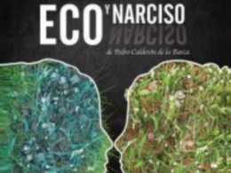 Eco y Narciso