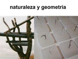 Naturaleza y Geometría