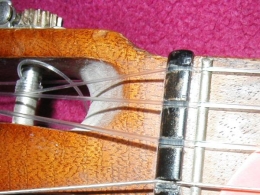 XIX Muestra de música de Plectro Ciudad de Valladolid