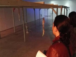Exposición Las Virtudes de Esther Gatón