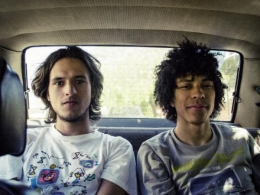 Boogarins