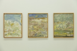 "Paisaje universal", Díaz Caneja