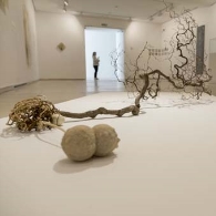'Temblor y nubes' de Carlos de Paz