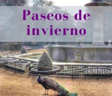 Paseos de invierno