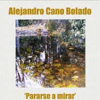 'Pararse a mirar'