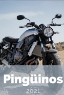 Pingüinos 2021