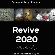 Presentación del libro 'Revive 2020'