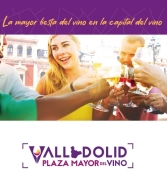 Plaza Mayor del Vino