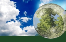 Exposición Bosques y cambio climático: un futuro abierto en el Museo de la Ciencia