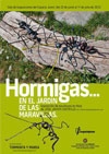 Esculturas de forja de José Javier Castrillo. Hormigas... En el jardín de las maravillas en Valladolid