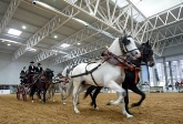 EV.09 - EQUINOVAL VALLADOLID 2009