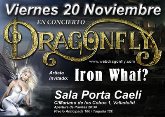 DRAGON FLY en Valladolid